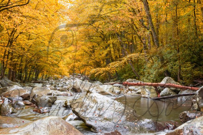 Breathtaking Autumn in the Smokey Mountains